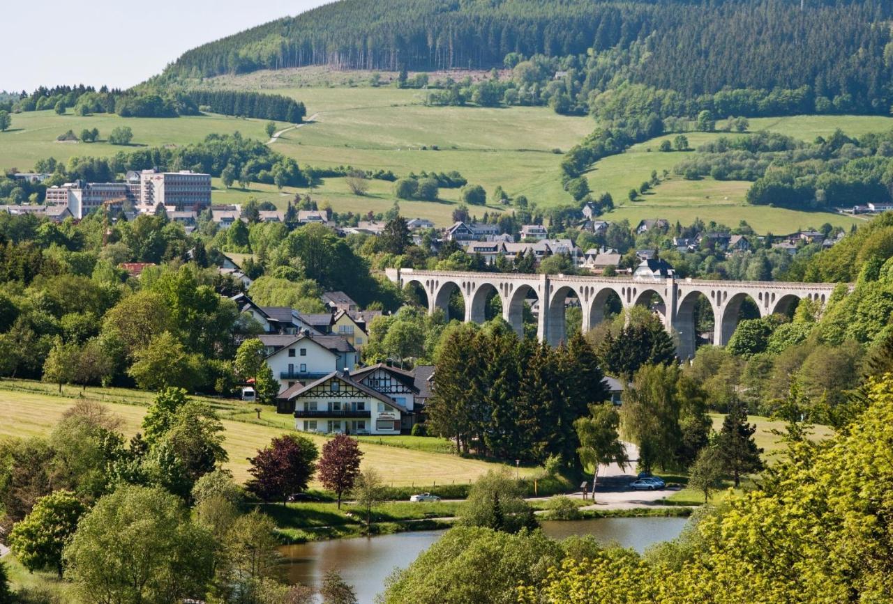 Ferienwohnung Nelly Am Kurpark Willingen  Exteriér fotografie
